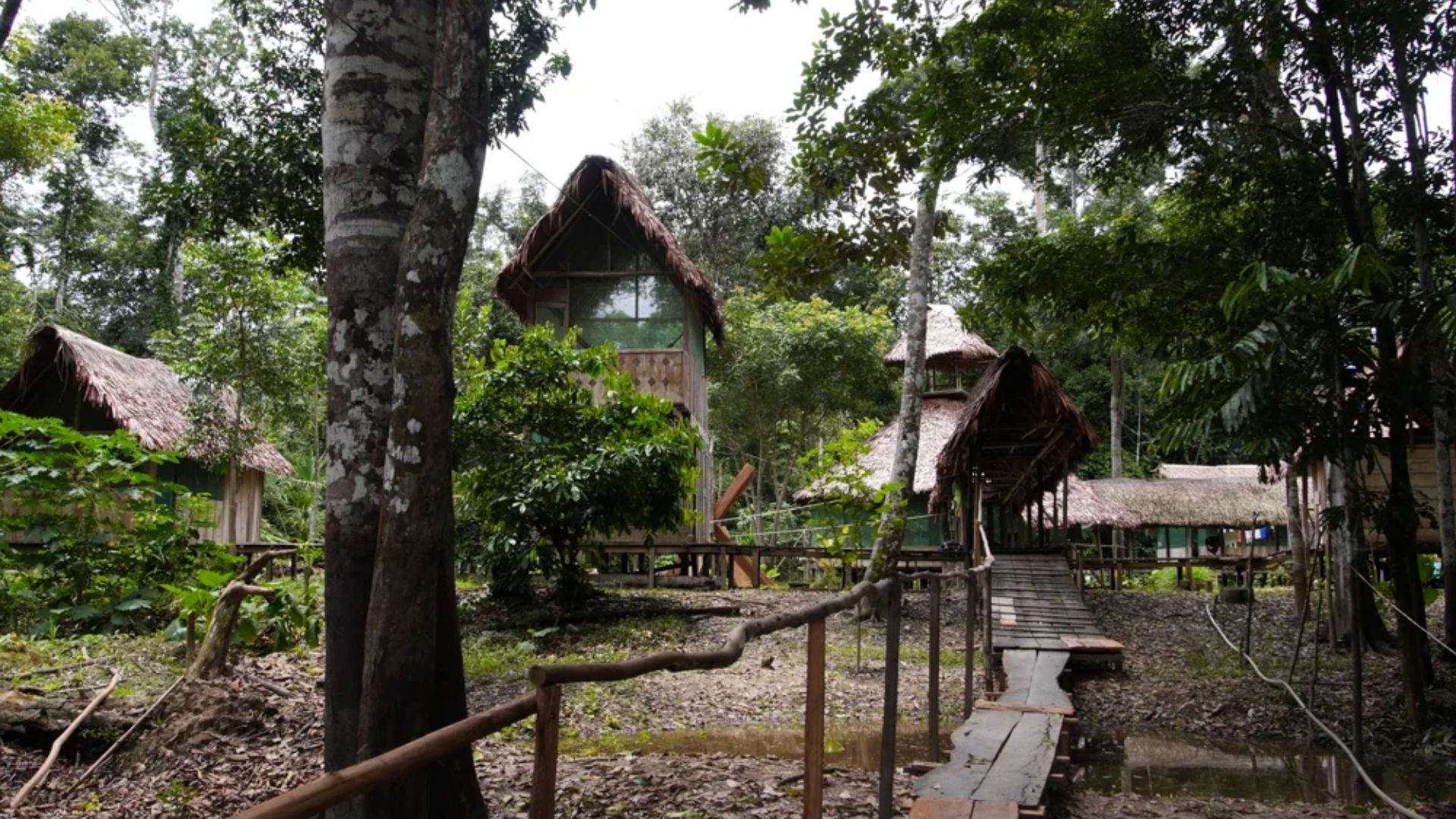 Le capanne del lodge tra gli alberi della foresta