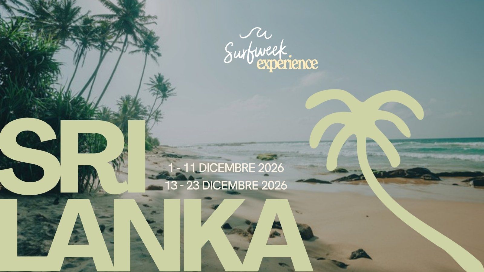 Copertina della brochure Sri Lanka: spiaggia con palme sulla costa sud, con le partenze di dicembre 2026