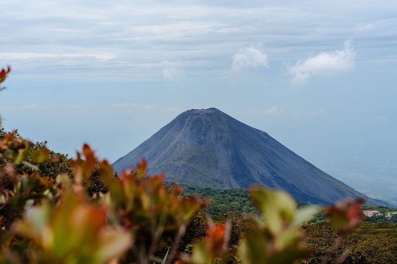 Un vulcano di El Salvador visto tra i fiori dell’entroterra