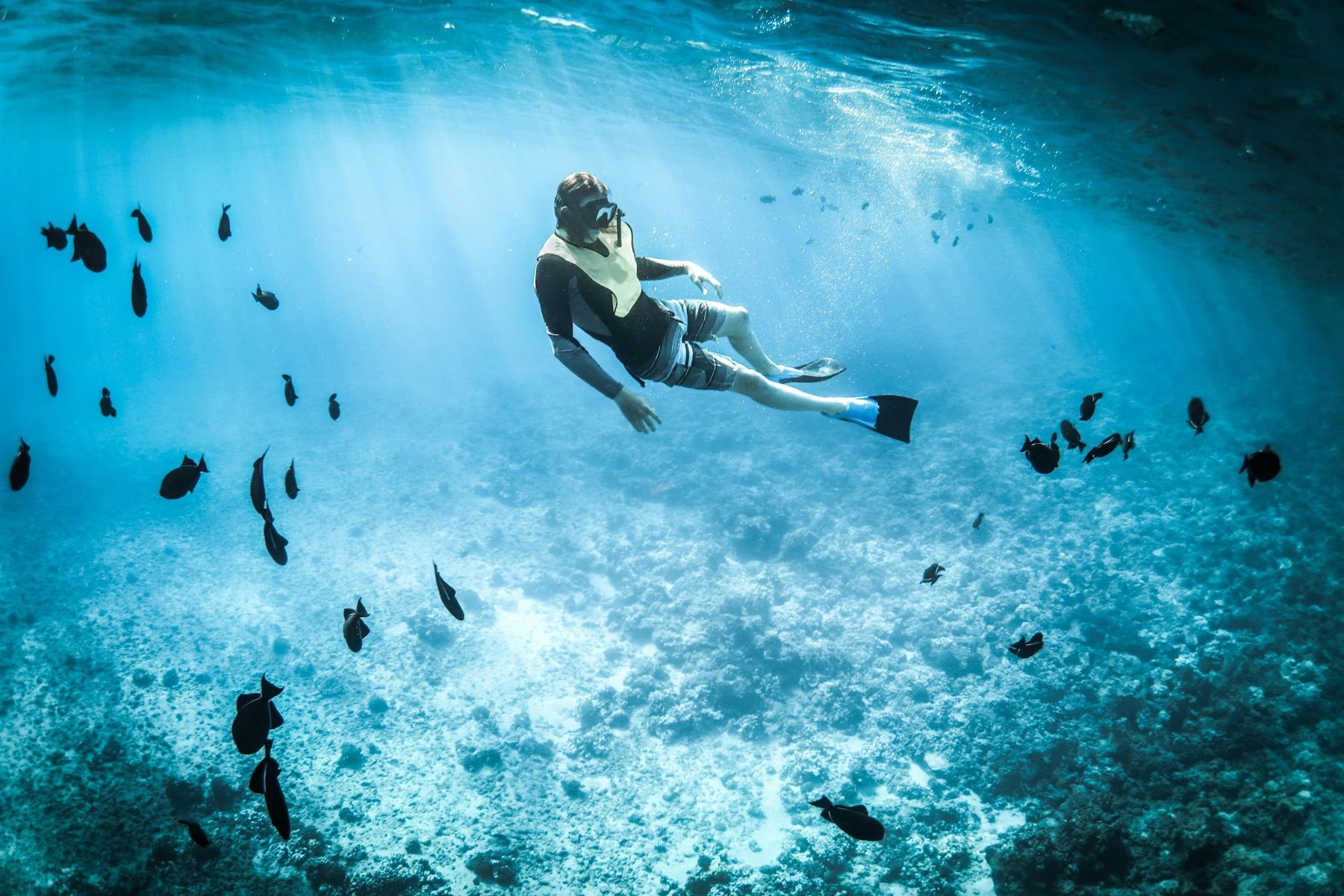 Una persona fa snorkeling sopra un fondale pieno di pesci