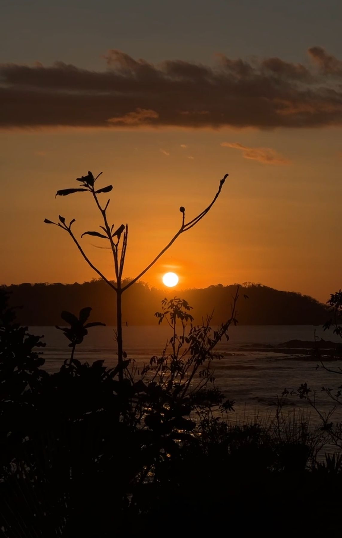 Il sole che scende sulla baia di Santa Catalina, dietro i rami