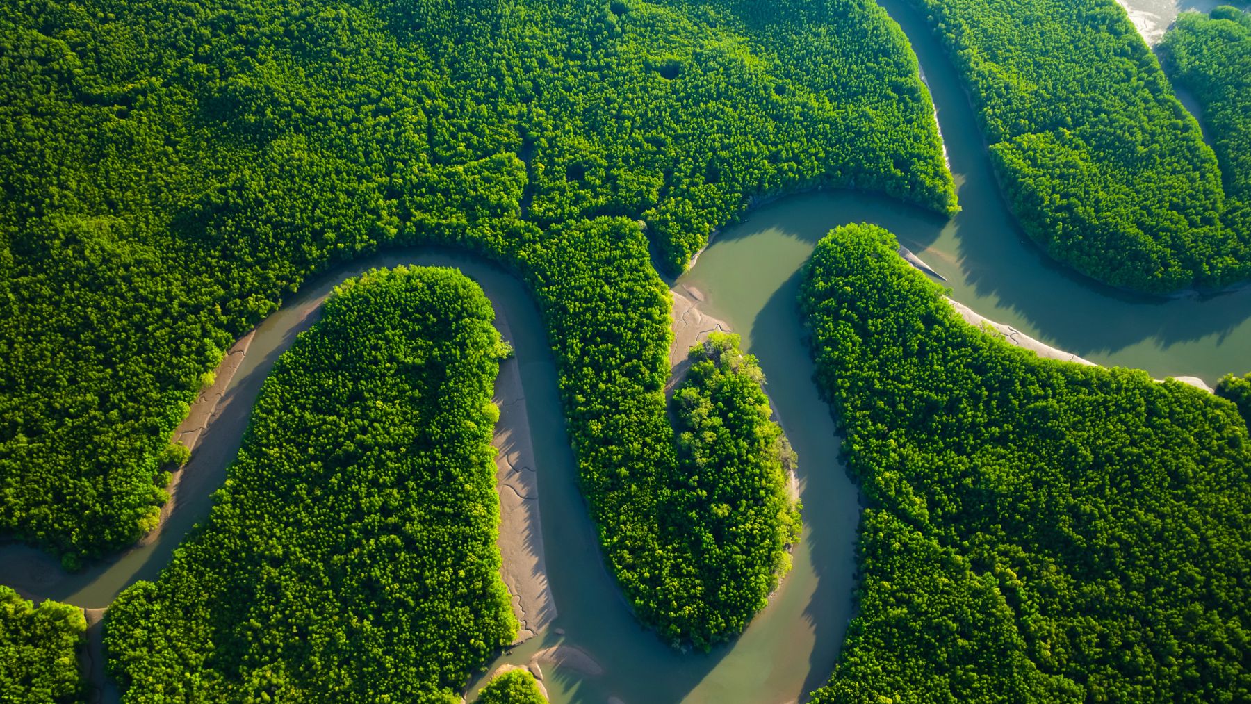 Un fiume che si snoda nella foresta amazzonica vista dall'alto