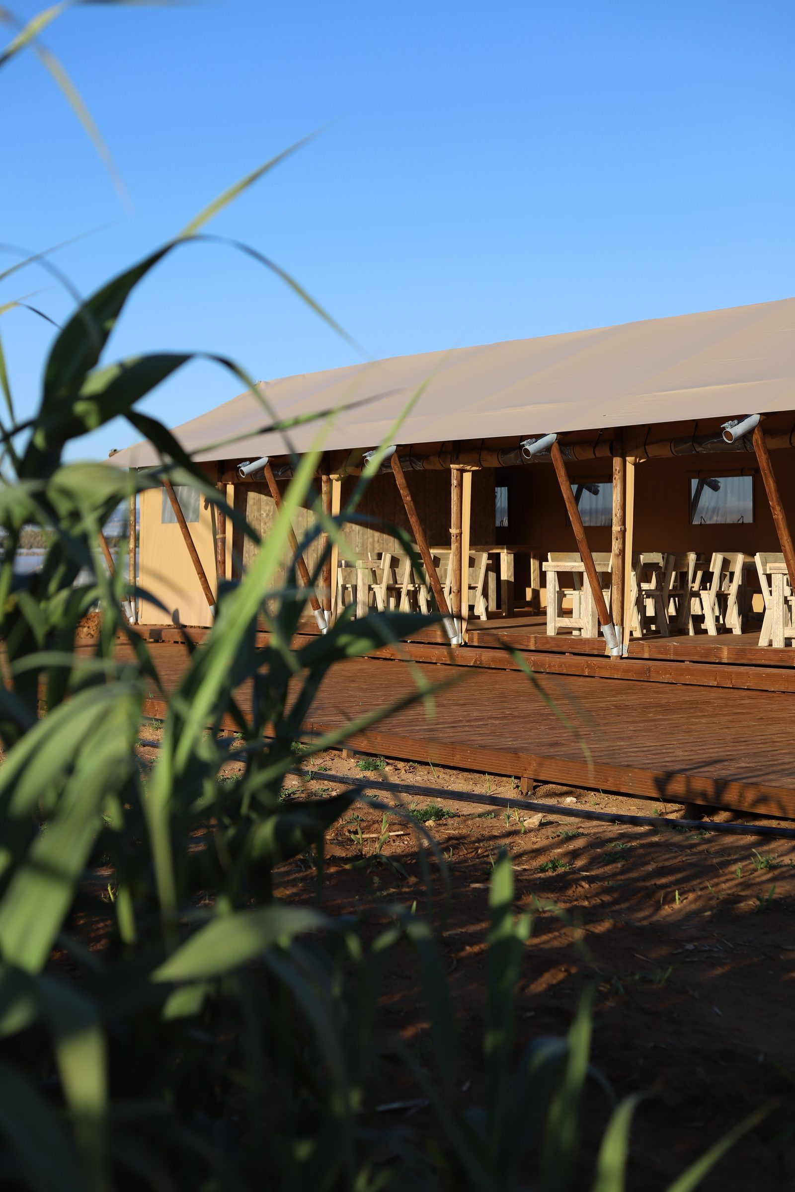 Vista sul mare di Punta Secca dal camminamento del glamping